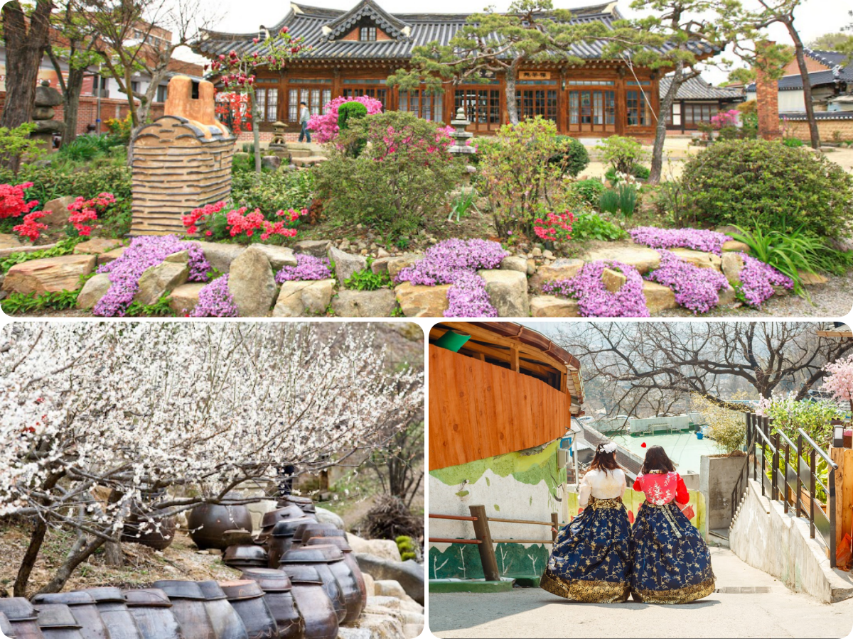 202511261120-3949468868.png 444.png