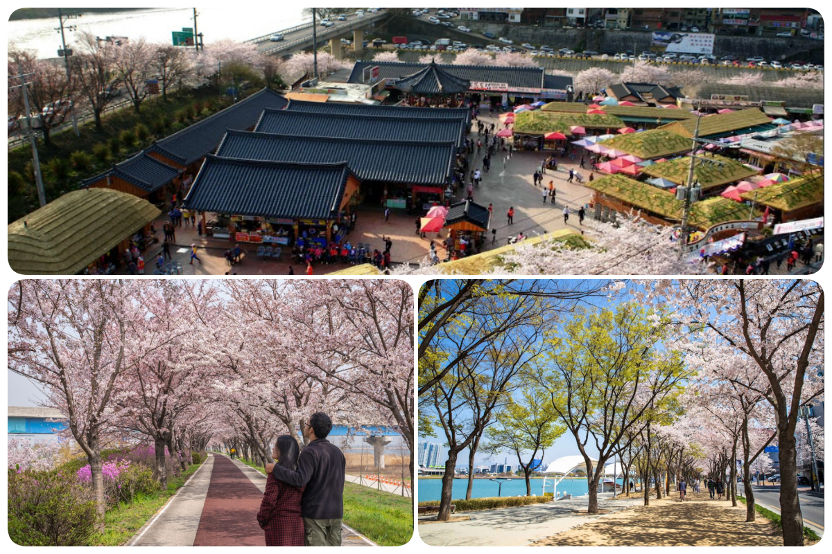 202511261336-8362330052.png 444.png