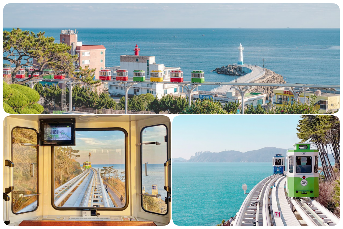 202511261338-5030332543.png 555.png