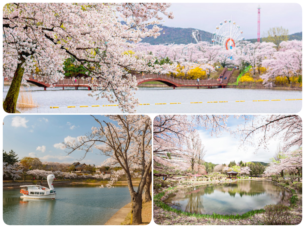 202511261353-1093545859.png 333.png