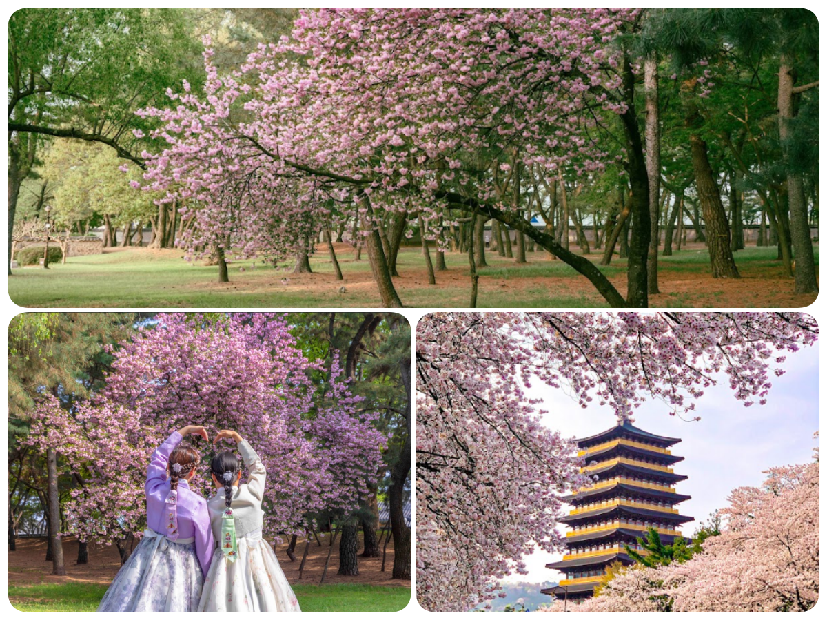 202511261353-1581660039.png 222.png