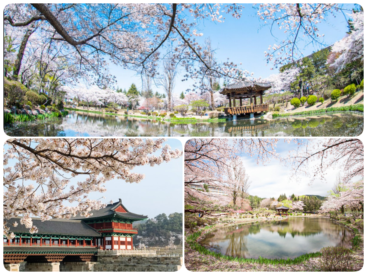 202511261353-9147735094.png 111.png