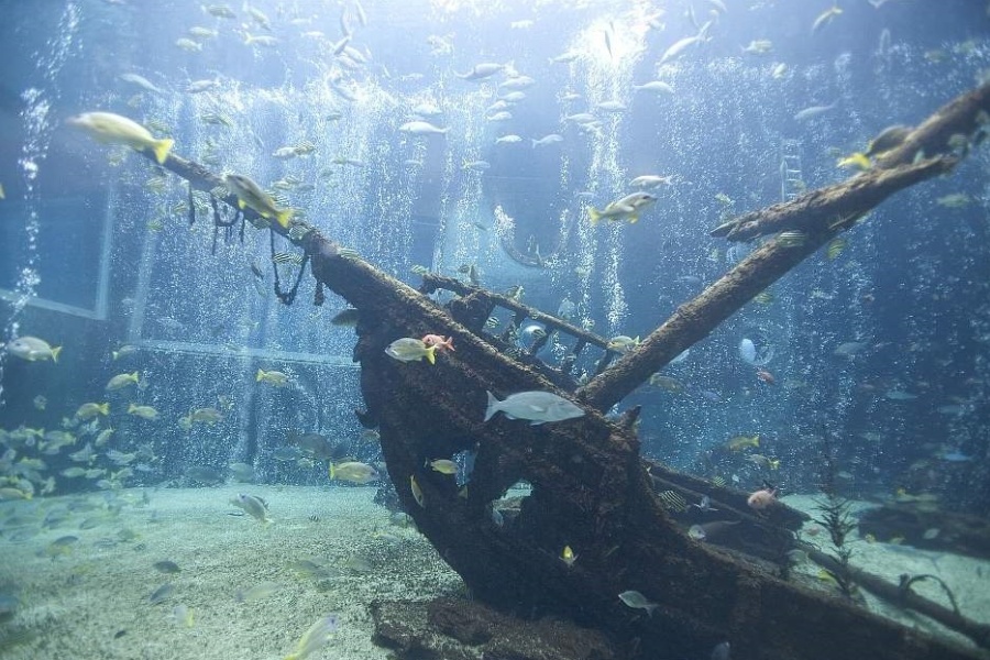 202511271015-4159600320.jpeg DM_20251127100357_001.JPEG