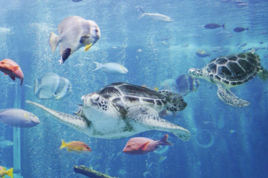 202511271016-1230792016.jpeg DM_20251127100357_006.JPEG