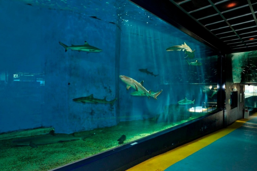 202511271016-6571418973.jpeg DM_20251127100357_002.JPEG