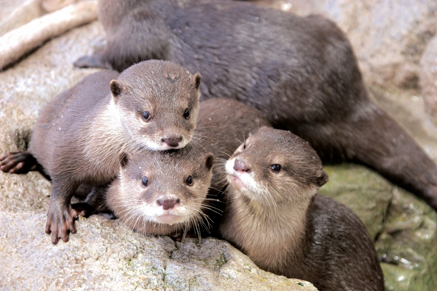 202511271126-2521625929.jpeg DM_20251127111216_004.JPEG