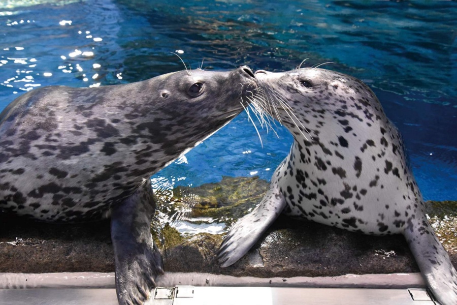 202511271126-5300339824.jpeg DM_20251127111216_005.JPEG