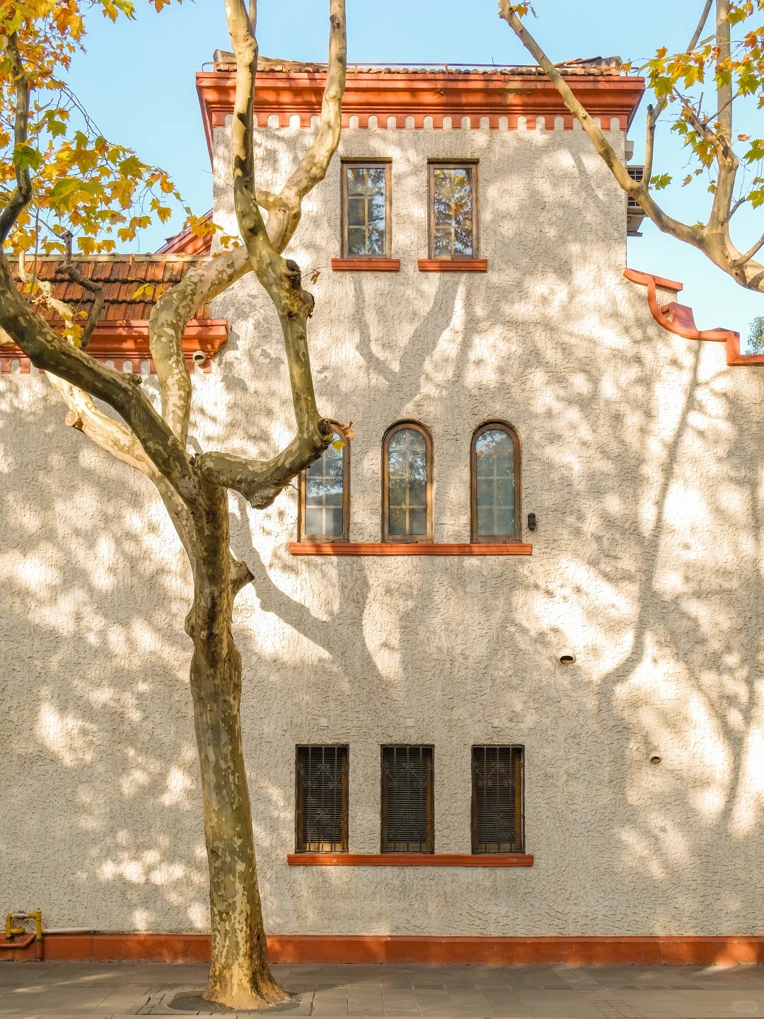 上海的梧桐黄了🍁 直接复制我的路线❗_2_卡飞机_来自小红书网页版.jpg