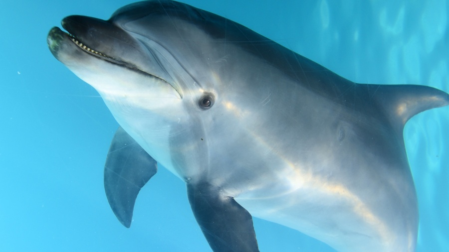 202511271527-4354906635.jpeg DM_20251127152202_002.JPEG