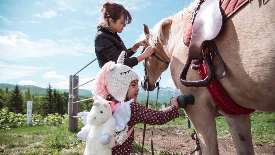 202511271529-4880407834.jpeg DM_20251127152202_010.JPEG