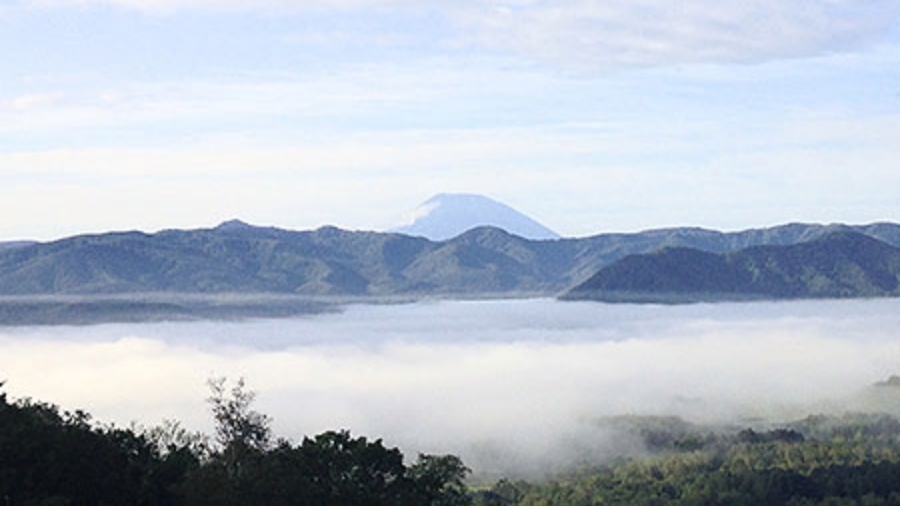 202511271530-2042997199.jpeg DM_20251127152202_012.JPEG