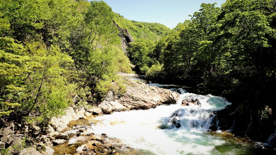 202511271530-2677714522.jpeg DM_20251127152202_014.JPEG