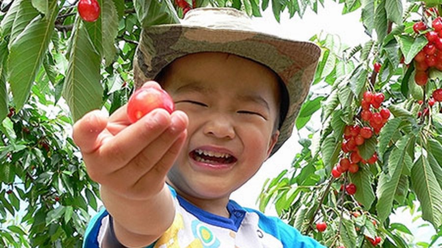 202511271530-5337517159.jpeg DM_20251127152202_017.JPEG