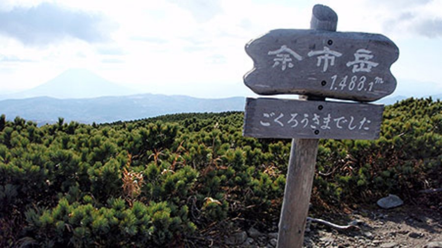 202511271530-6425284098.jpeg DM_20251127152202_013.JPEG