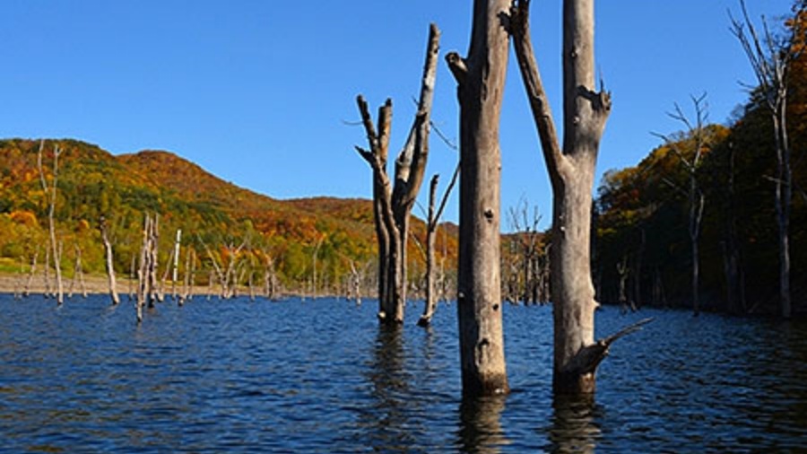 202511271530-6577765266.jpeg DM_20251127152202_015.JPEG