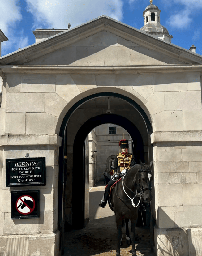 202511271531-7127825817.png image.png