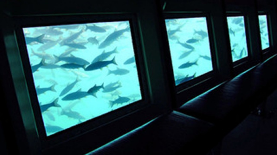 202511271531-7365193102.jpeg DM_20251127152202_022.JPEG