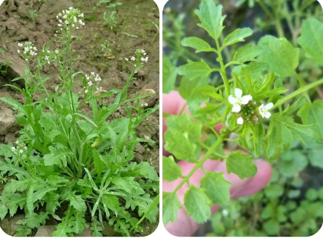 202511281007-1652780397.png image.png