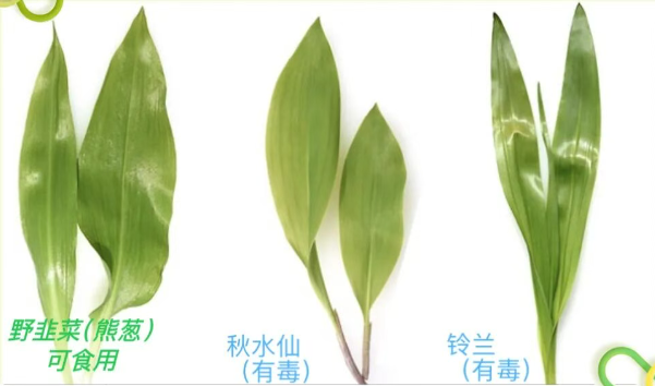 202511281007-2831142130.png image.png