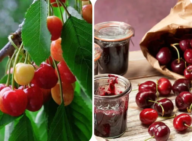 202511281008-4152882870.png image.png