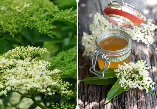 202511281008-7057487275.png image.png