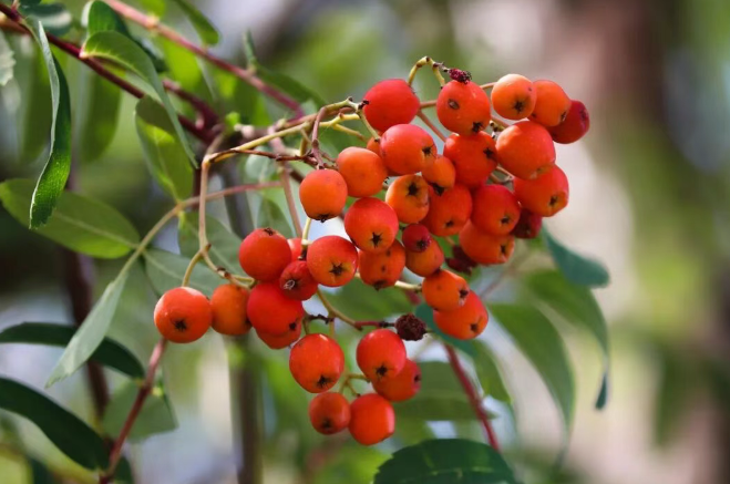 202511281010-6745887264.png image.png