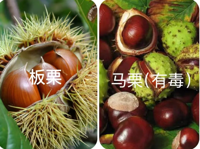 202511281010-8754920439.png image.png