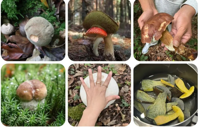 202511281011-3912313434.png image.png