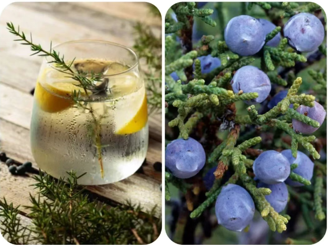 202511281011-6682938931.png image.png