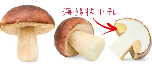 202511281011-8811106086.png image.png