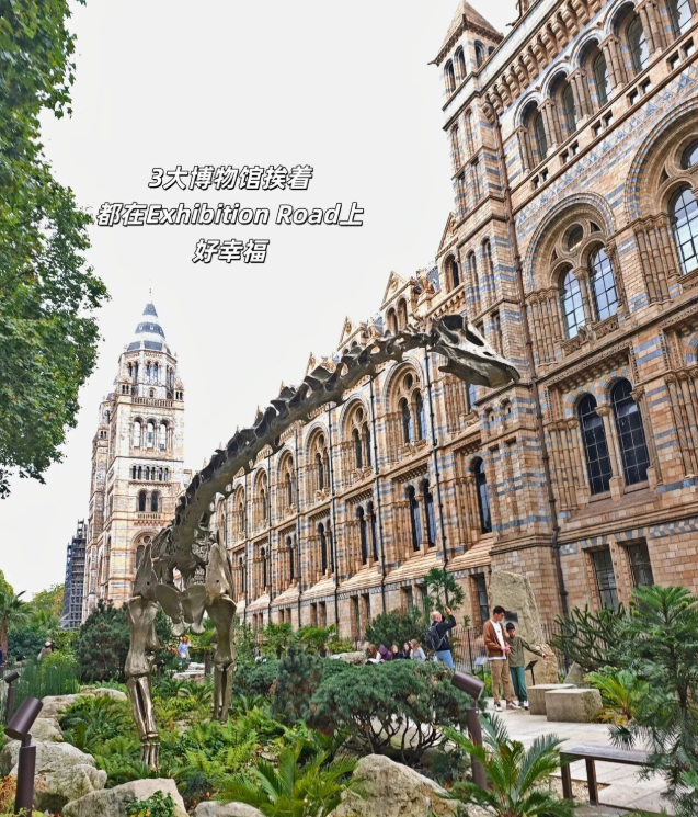 202511281018-1704831624.png image.png