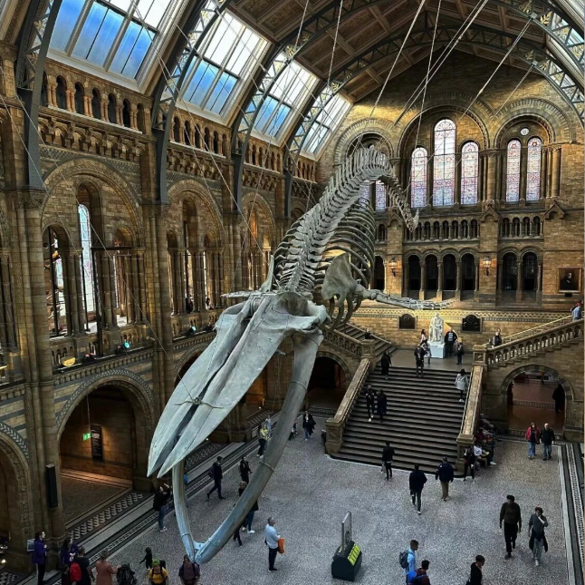 202511281018-6793728557.png image.png