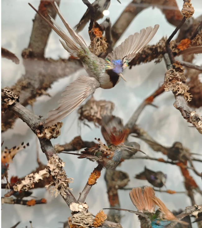 202511281019-1920732652.png image.png