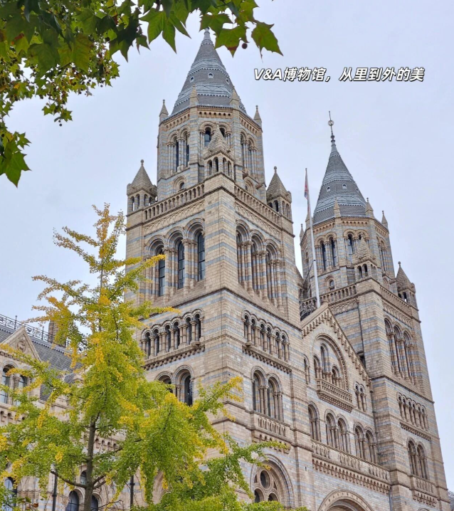 202511281019-9948495408.png image.png