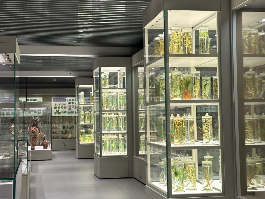 202511281336-8892087412.png 企业微信截图_17643080014417.png