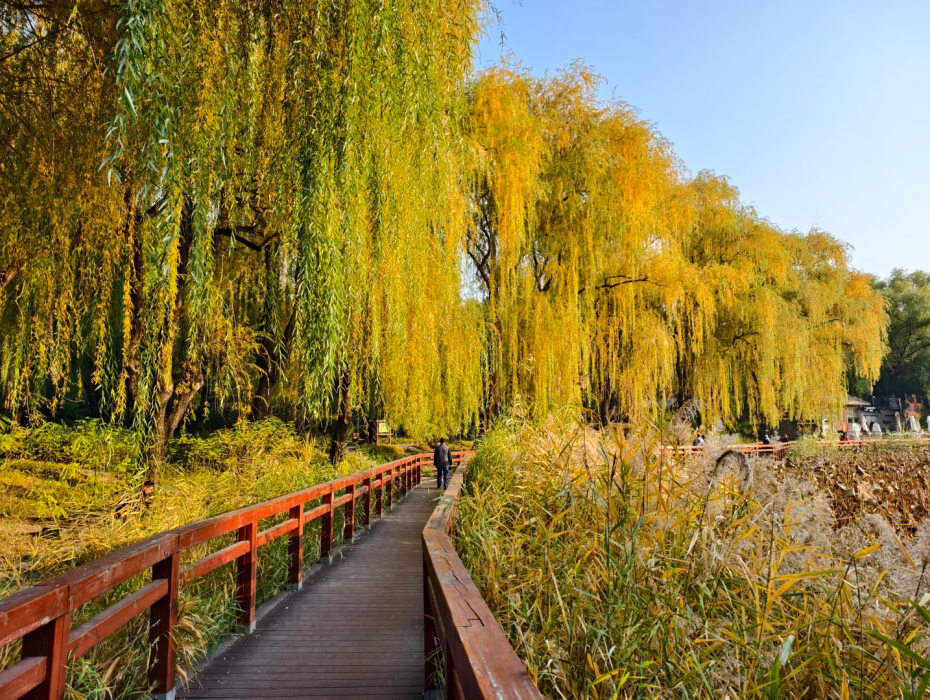 202511281337-9921870708.png 企业微信截图_17643077571461.png