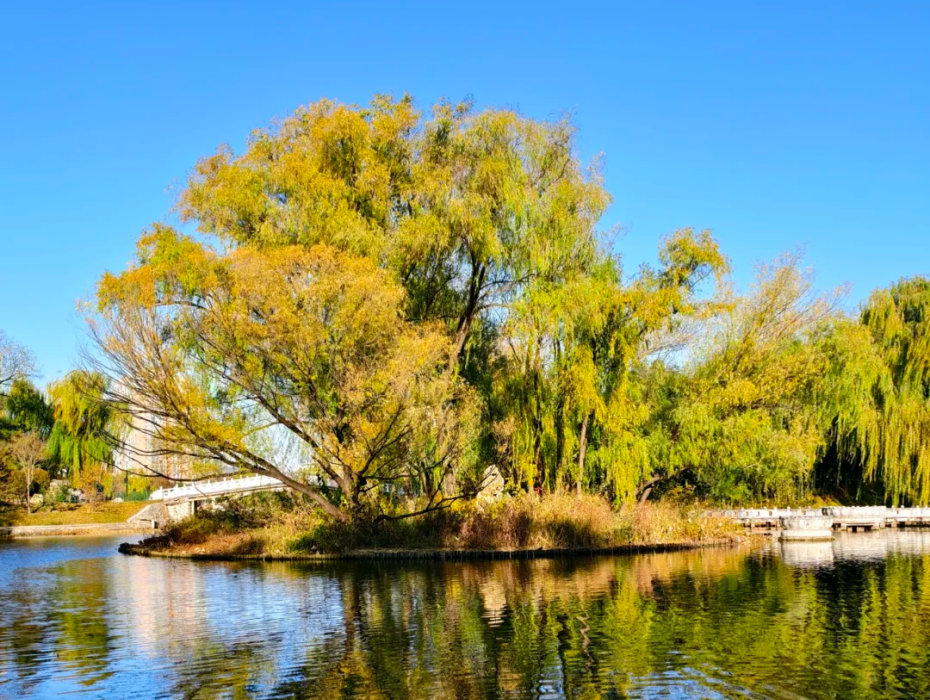 202511281339-9508000323.png 企业微信截图_17643021084279.png