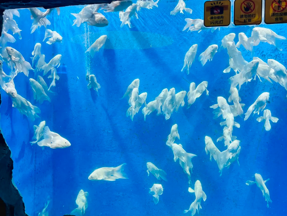 202511281357-8907576995.png 企业微信截图_17642995803949.png