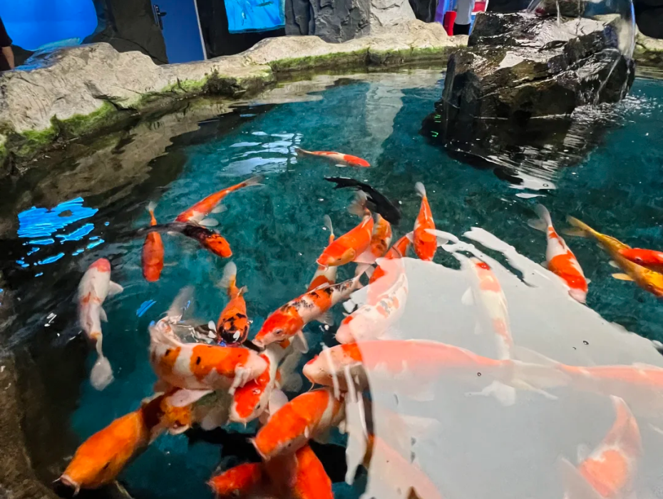 202511281358-2440929717.png 企业微信截图_17642995734918.png