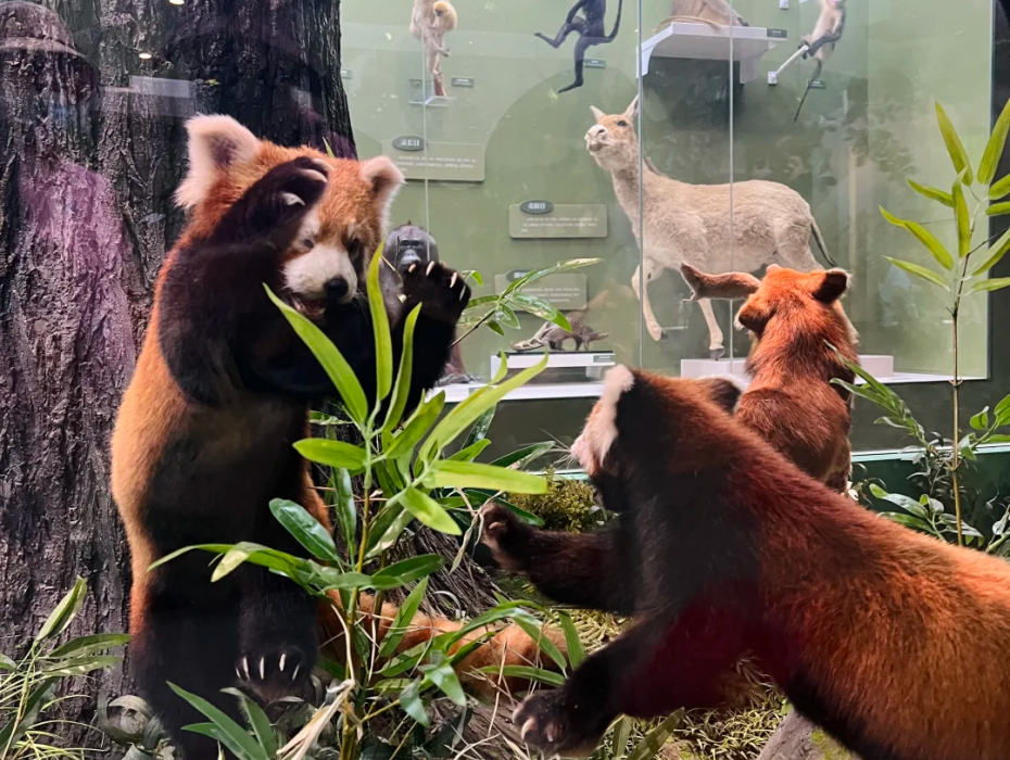 202511281359-4329752768.png 企业微信截图_17642996083975.png