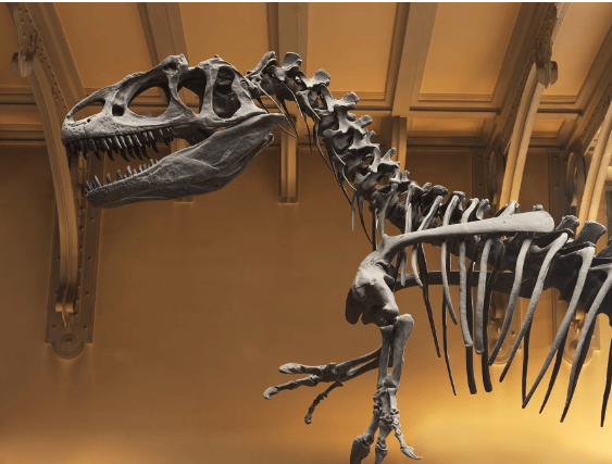 202511281404-9198671659.png image.png