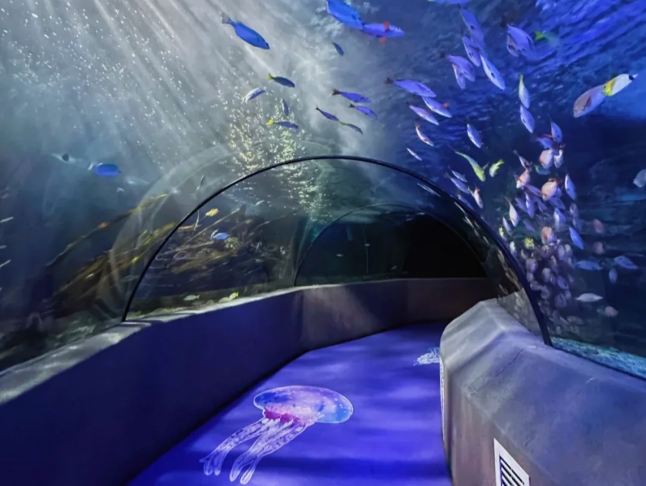 202511281433-7974645570.png 太平洋海底世界2.png