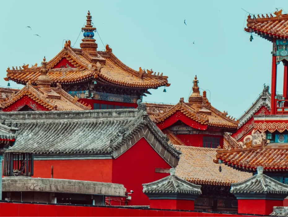 202511281438-4078564752.png 4.png