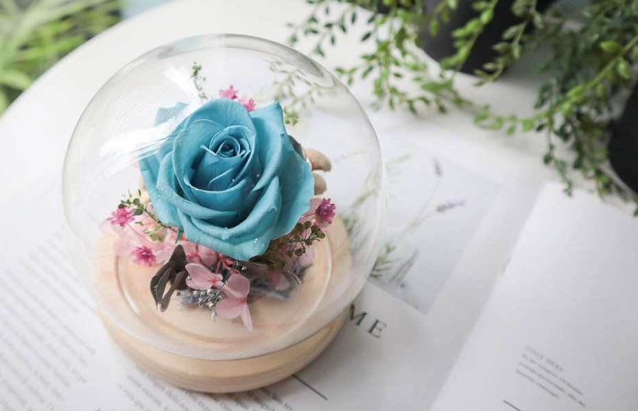 202511281550-3022198670.jpg undefined (2).jpg