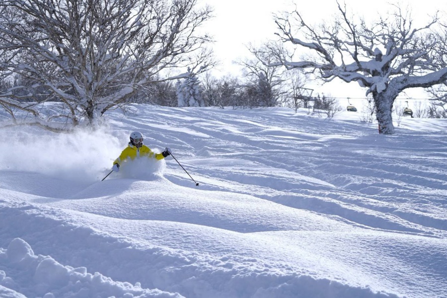 202511281740-2930632511.jpg 1763457092426.jpg