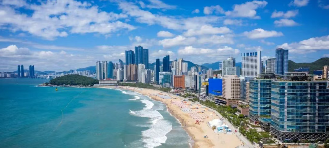 202512010931-7488667155.png image.png