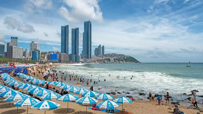 202512010932-3332084685.png image.png