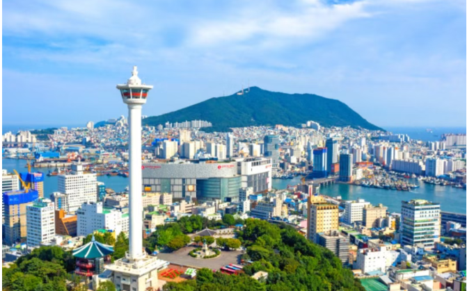 202512010935-6577764852.png image.png