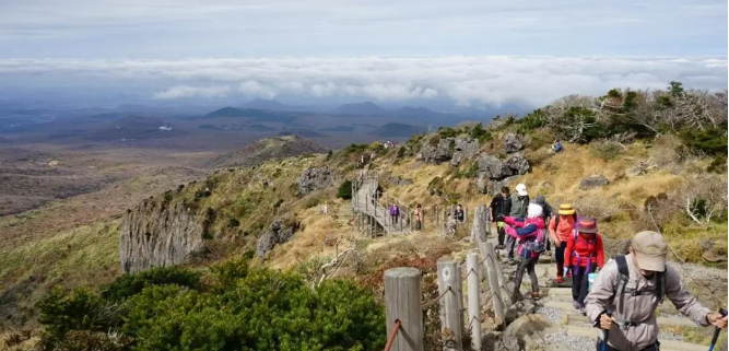 202512010935-7239615211.png image.png