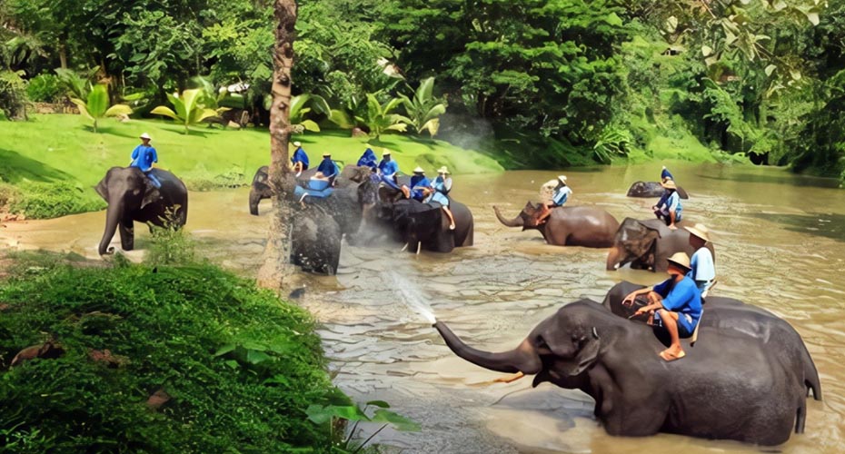 202512011455-7945804604.jpg 930-14.jpg